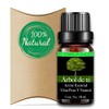 Alluem Aceite Esencial de Arbol de Te 100% Natural Y