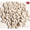 Spicy World Cannelini Beans 4 LB - From Italy -