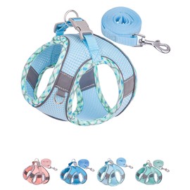 Petank Dog Harness for Small Medium Dogs No Pull, Puppy Harness and Leash Set, Easy Walk Dog Harness for Walking, Running, Training, Small Dog Harness, Medium Dog Harness (Light Blue, XXS)