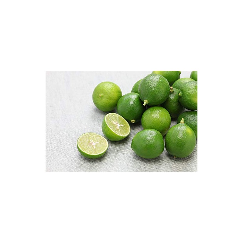 Tropical Importers Fresh Key Limes (3lb) (Organic Premium Key Limes