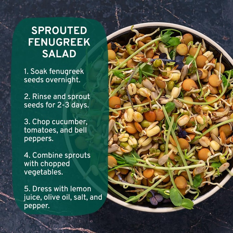 SPICE TRAIN, Fenugreek/Methi Seeds (397g) Non-GMO, Gluten-Free & 100% Whole