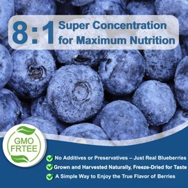 5oz Blueberry Powder – Freeze-Dried Wild Blueberries for Smoothies, Baking & Beverages – Whole Berry Blend – Vegan, Gluten-Free, No Artificial Ingredients