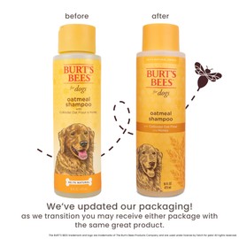 Burt's Bees for Pets Oatmeal Dog Shampoo with Colloidal Oat Flour and Honey, 95% Natural Origin Formulas, Shampoo for Dogs - Gentle Dog Shampoo, Best Dog Shampoo, 16 oz