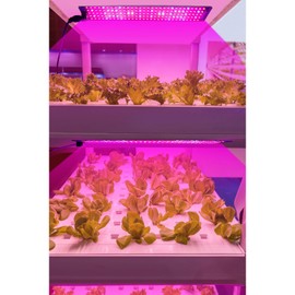 Full Spectrum LED Plant Growth Light Board Supplement Light for Seedlings Veg Bloom Succulents Indoor Plants Grow Light Panel with Smart 24-hour Cycle Timing 3/6/12H 6 Dimmable Levels, One Drag Three