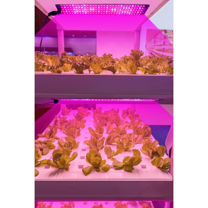 Full Spectrum LED Plant Growth Light Board Supplement Light for