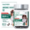 Petomedi Dog Eyes Nutrition, 80 tablets, Tears improvement eye health, 1 pc / 페토메디 강아지 아이즈 영양제, 80정, 눈물개선눈건강, 1개