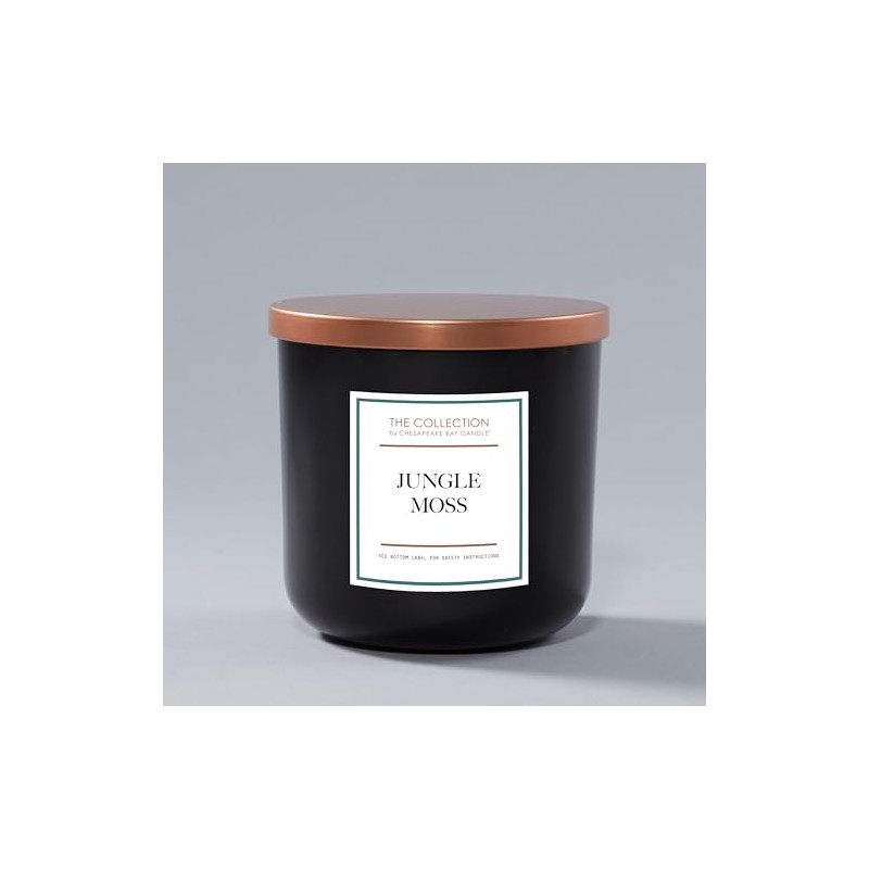 Chesapeake Bay Candle, The Collection, 2-Wick Soy Candle, Jungle Moss,