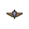 Copytec Embroidered EMFV Parachute Jumper Badge Paratrooper #42690