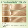 Garnier Nutrisse Tinte para el cabello, 90 Rubio Natural Claro