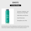 lendan LD Full Volume Shampoo – 300 ml