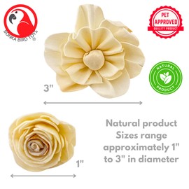 Bonka Bird Toys 3604 PK6 Sola Flower Foot Talon Craft Part Bird Toy Natural Foraging Chew Health Treat for Small to Medium Sized Birds and Other Small Pets