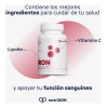 Iron Support Suplemento Nutriadn Sabor