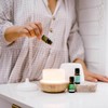 ECO. Modern Essentials Fight the Flu Essential Oil Trio, 3