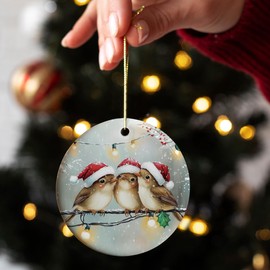 HUKINE Christmas Bird Ornaments, Bird Christmas Tree Ornaments, Christmas Bird Lover Gifts, Bird Decor Ornaments, Bird Themed Gifts, Bird Ornaments for Christmas Tree,Bird Gifts for Bird Lovers Women