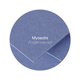 Clairefontaine 5193C Pack of 20 Envelopes Pollen 16.5 x 16.5 cm, 120 g, Lined, Ideal for Invitations and Correspondence, Premium Smooth Paper, Forget-Me-Not Blue, 1 Pack