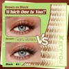 KEYYOU Spider Brown Lash Clusters Ki w/Black Bunny Wispy for