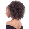 FreeTress Equal Synthetic Hair Drawstring Ponytail Bohemian Fro (1B)