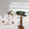 DUBENS Model Tree Mini Baobab Tree Train Landscape Architecture Trees