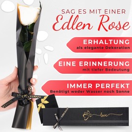 Trends by Twins® Eternal Rose, Infinity Rose as a Gift for Women and Girlfriend Gift, Artificial Flowers Like Real Roses, Best Friend Gifts and Mum. (White/Gold)