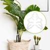 Climbing Houseplant Stem Supports,4Pcs Clear Plastic Flower Plant Growth Stake