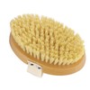Massage Body Bath Brush Lymphatic Drainage Exfoliating Detox Deep Cleaning