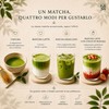 Matcha Giapponese Grado Cerimoniale – Tencha coltivato a Yame (Kyushu)