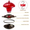 Hummingbird Feeder, Auslar 15 Ounces Glass Hummingbird Feeders for Outdoors