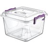 Hobby Life 6 Litre Plastic Pantry Box, Transparent