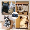 BbiuRer Cardboard Cutter, 3D Printed DIY Cardboard Cutter for Cat