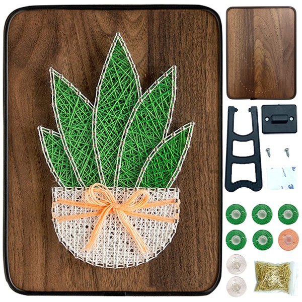 BAZIMA DIY String Art Kit for Beginner,DIY Aloe Potted Craft Kit,Unique Gift,Craft Kit for Holidays