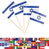 JBCD Israel Toothpick Flag Israeli Mini Small Cupcake Topper Flags,