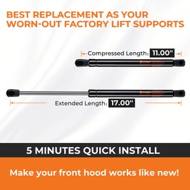 PAMAGOO 95411 Rear Hatchback Struts Lift Supports for 2005-2010 Scion tC Coupe 2-Door, Trunk Liftgate Stretching Technology Gas Shocks Arms Supports (Qty 2)