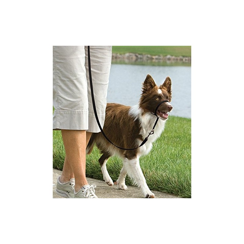 PetSafe Easy Walk Head Collar