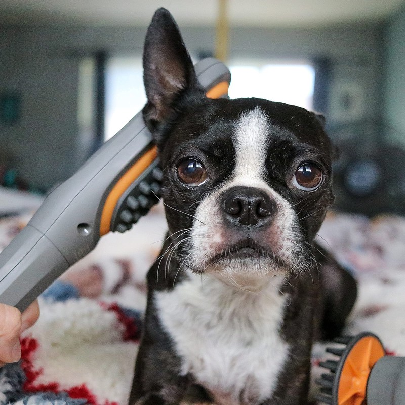PAW WAVE Buzz Therapeutic Brush Vibration Pet Massager for Dogs