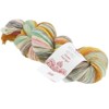 Lana Grossa Hand Dyed Meilenweit 100 Merino Rainbow, 7003 Birla
