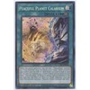 Peaceful Planet Calarium - CYAC-EN058 - Secret Rare - 1st