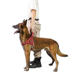 S-ETOVUS No Pull Dog Harness, Reflective Puppy Harness with Soft Padded Handle, Escape Proof/Quick Fit Adjustable Pet Harness for Small Medium Large Dogs, Easy for Training Walking (Red, L)