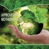 Puremint Roach Repellent, 128 fl oz