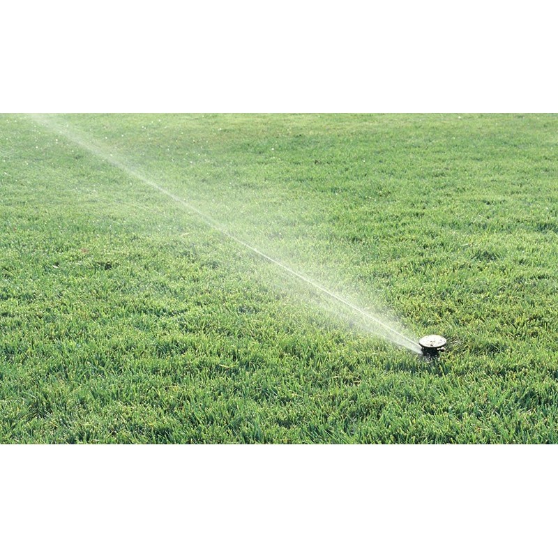 Rain Bird Maxi-Paw Sprinkler Full Rim and Variable Sector, Black