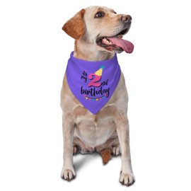 vercosee 2nd Birthday Dog Birthday Bandana,Dog Birthday Party Supplies,Dog Puppy Birthday Bandana,Triangle Scarf for Pet Dog Puppy Pet Scarf Accessories (Purple)