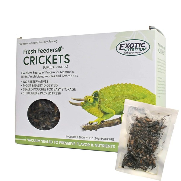 Fresh Feeders (Crickets) - All Natural High Protein Insect Treat