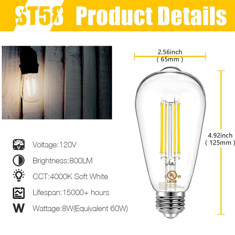 DAYBETTER 12 Pack Vintage LED Edison Bulbs, E26 Led Bulb