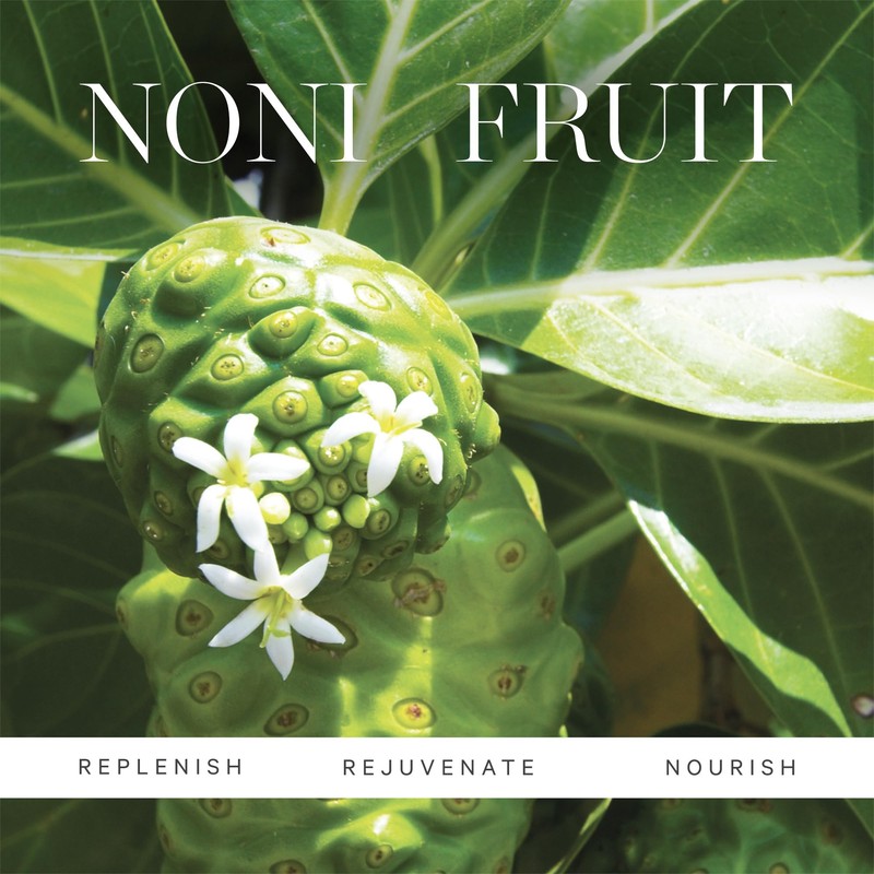 KORA Organics Noni Radiant Hydrating Under Eye Oil Roller, Smooth