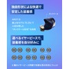 AVIOT TE-W1 Adaptive Hybrid Noise Cancelling Wireless Earphones with 3D