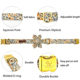 Elegant little tail Fall Dog Collar, Squirrels Print Dog Collar with Flower Girl Boy Pet Collar Dog Flowers Holiday Dog Collar Flower Soft Durable Pet Collar for Medium Dogs