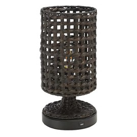 SAFAVIEH Lighting Collection Knowles Black Water Hyacinth 16-inch Table Lamp with USB Charging Port (LED Bulb Included)