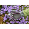 Burgon & Ball RHS Gift Pruner and Holster Set Asteraceae