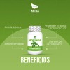 Moringa 100 Cápsulas Regula Azúcar Disminuye Colesterol Alto Proteínas Antioxidante