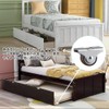 Caster Rubber Caster Wardrobe Caster Quiet Design Trolley Luggage Caster