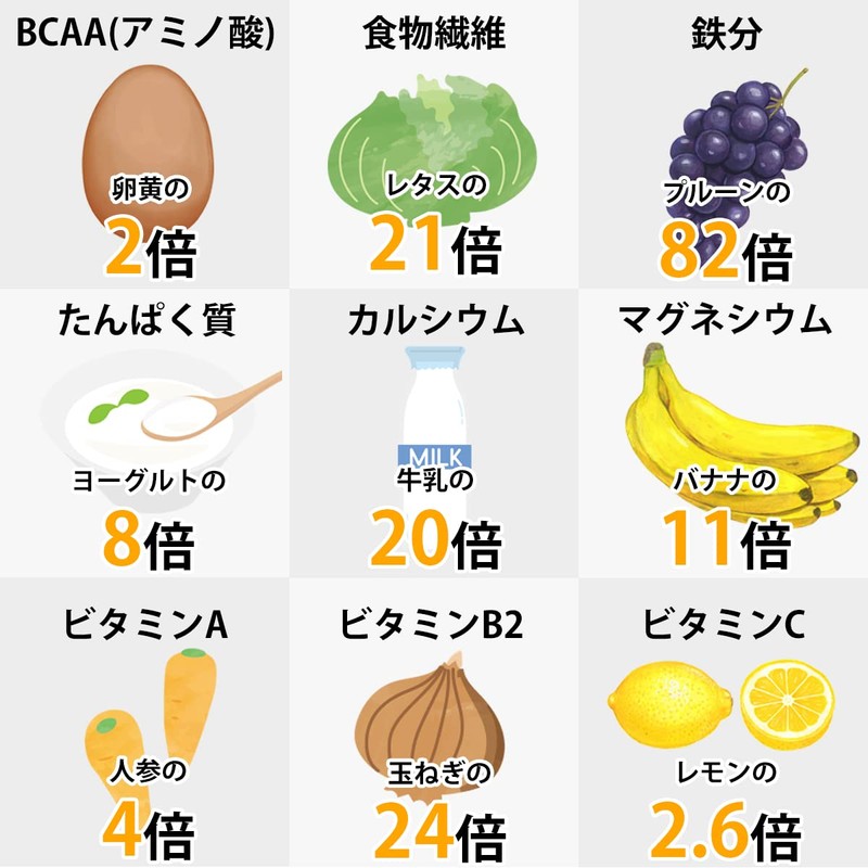 モリンガパウダー オーガニック スーパーフード モリンガ粉末 モリンガ 有機 JAS認定 スリランカ セイロン 無添加